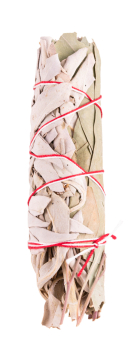 Weißer Salbei/Eukalyptus - mini Smudge